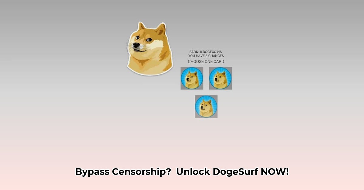 dogesurf-app